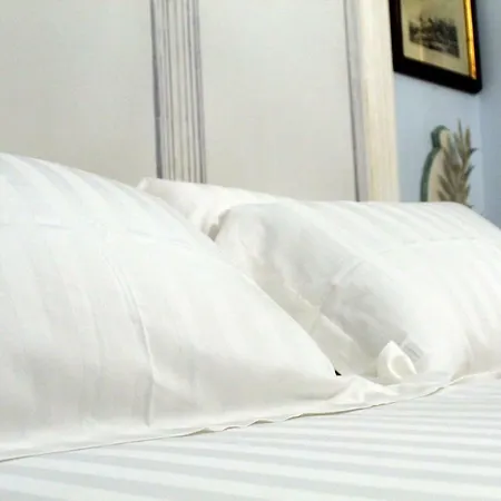 Les Royales ゲストハウス